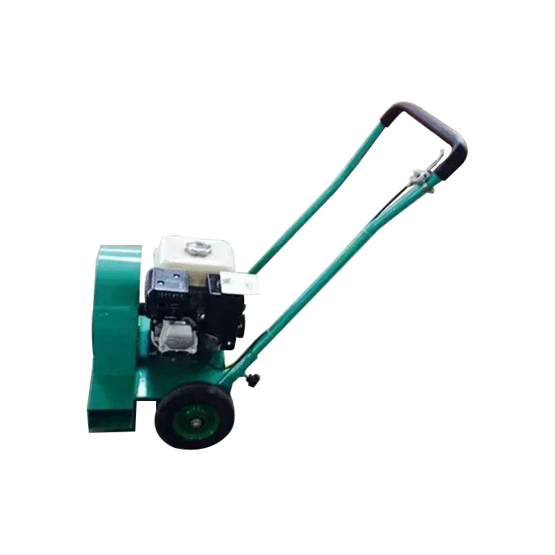 Gasoline Leaf Blower Snow Blower/blower Fan For Use Pavement
